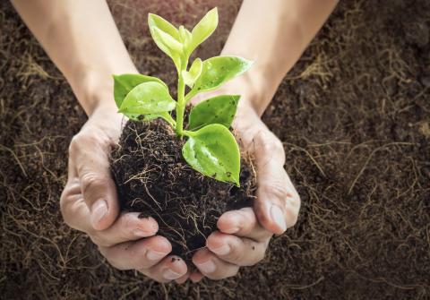 SAĞLIK, EMNİYET & ÇEVRE (SEÇ) POLİTİKAMIZ  - 