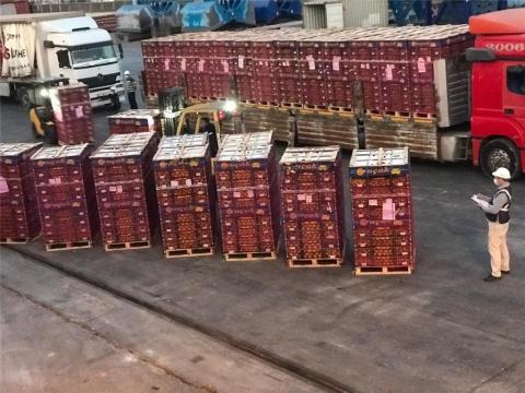 LİMAN OPERASYON  HİZMETLERİ - 