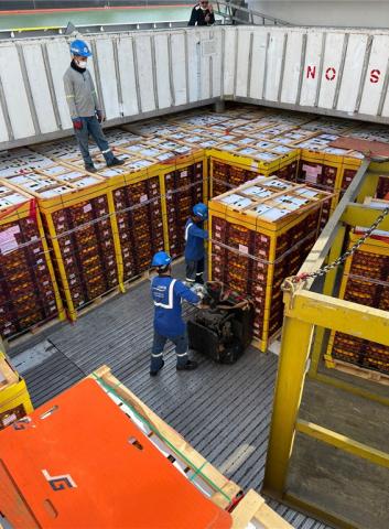 TAHMİL - TAHLİYE  HİZMETLERİ - 